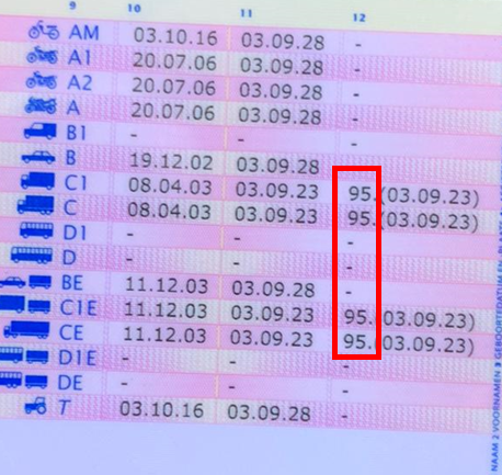 Alles wat je moet weten over Code 95 trainingen bij IVM